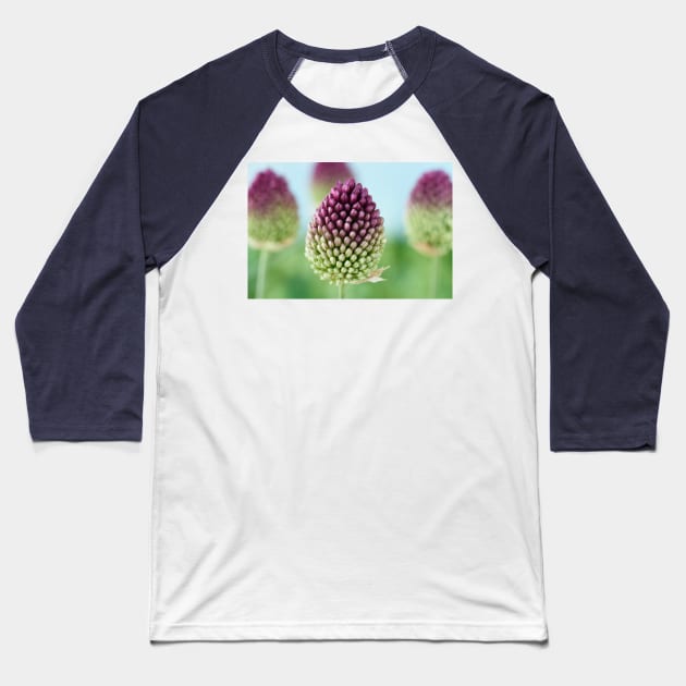 Allium sphaerocephalon   AGM  Round-headed garlic  Round-headed leek Baseball T-Shirt by chrisburrows